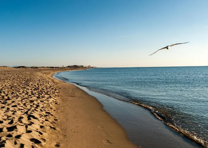 Babel By Interhome * Canet-en-Roussillon